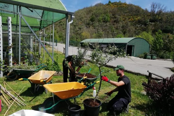 producción de planta 1